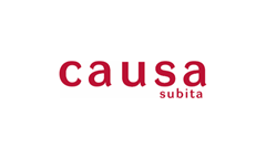 CausaS.png